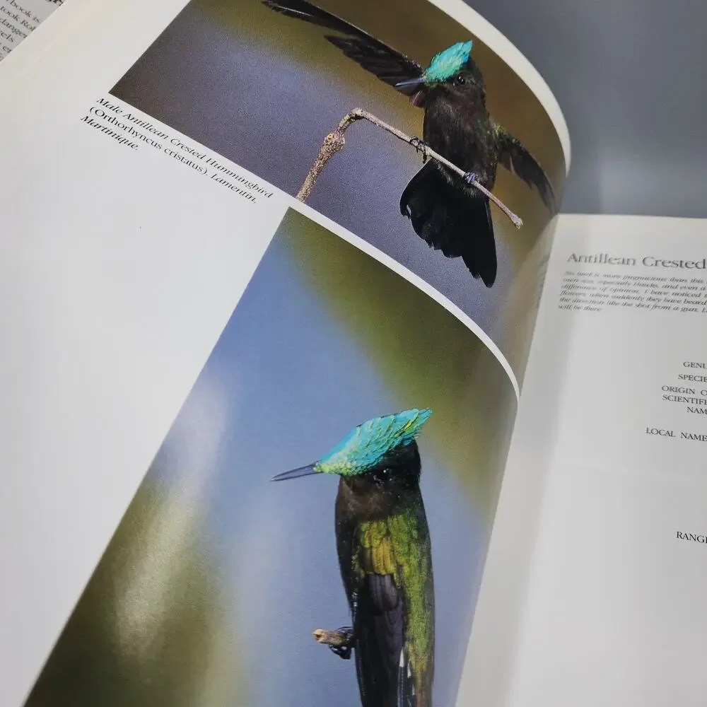 Hummingbirds of the Caribbean Bird Photos Information Nature HC DJ Signed READ